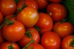 Вредны ли помидоры