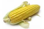 вред вареной кукурузы