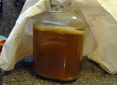 Вреден ли чайный гриб