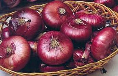 красный лук