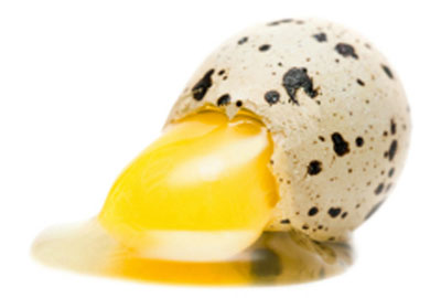 перепелиные яйца полезны для мужчин