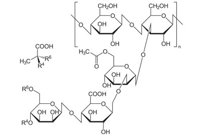 ксантановая камедь  (E415)