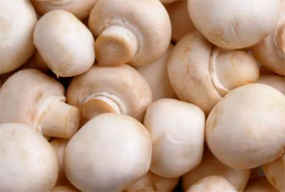 чем полезны шампиньоны